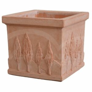 Cubo con Cipressi in Terracotta Chiara