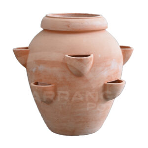 Fragoliera in Terracotta Chiara